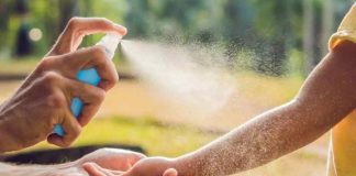 Verano y picaduras: cómo evitar terminar en urgencia Verano y picaduras: cómo evitar terminar en urgencia