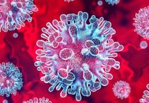 Virus Nipah en India: Epidemióloga explica si existe un riesgo real para Chile Virus Nipah en India Epidemióloga explica si existe un riesgo real para Chile
