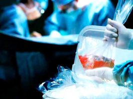 La adherencia no es opcional: el desafío cotidiano de vivir con un órgano trasplantado La adherencia no es opcional: el desafío cotidiano de vivir con un órgano trasplantado
