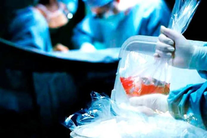 La adherencia no es opcional el desafío cotidiano de vivir con un órgano trasplantado La adherencia no es opcional: el desafío cotidiano de vivir con un órgano trasplantado