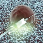 Internacional | Vacunas de ARNm frente al cáncer: «El desafío es que una medicina extremadamente personalizada sea también accesible»