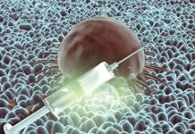 Internacional | Vacunas de ARNm frente al cáncer: «El desafío es que una medicina extremadamente personalizada sea también accesible»