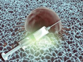 Internacional | Vacunas de ARNm frente al cáncer: «El desafío es que una medicina extremadamente personalizada sea también accesible»