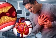 Innovación en imagen cardiovascular: cómo la tecnología permite estudiar un órgano que nunca deja de moverse Innovación en imagen cardiovascular: cómo la tecnología permite estudiar un órgano que nunca deja de moverse
