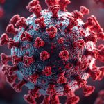 Investigadores de los NIH identifican anticuerpos poco comunes con potencial para combatir el síndrome alfa-gal.